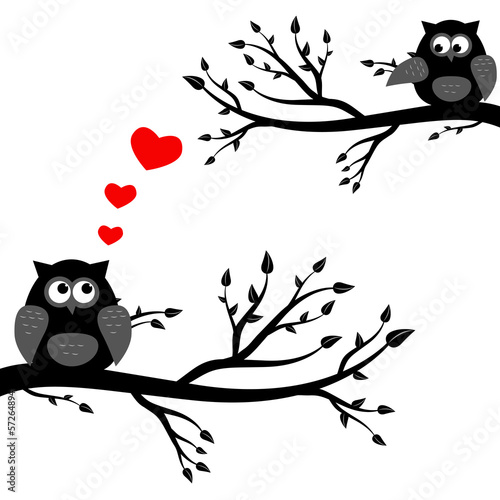 Ast Eule Blätter Liebe