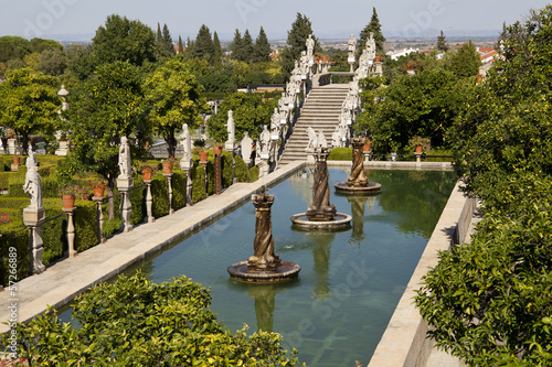Photos Garden in Castelo Branco