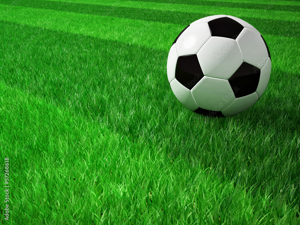 Fototapeta premium soccer football field