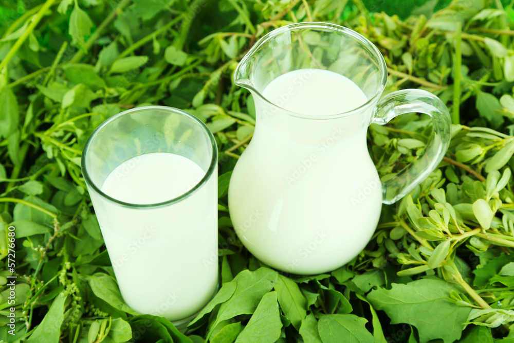 Pitcher and glass of milk on grass Pitcher and glass of milk on grass