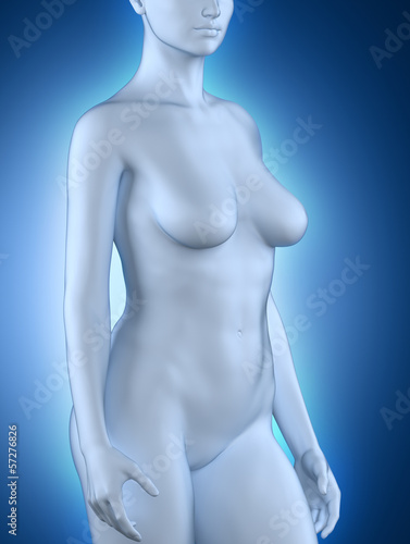 Woman in anatomical position