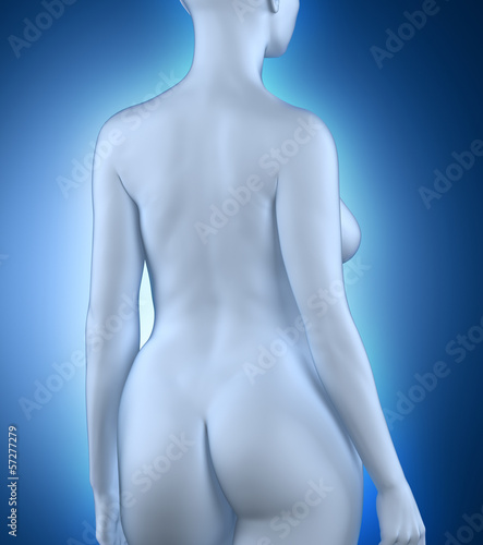 Woman in anatomical position white posterior view