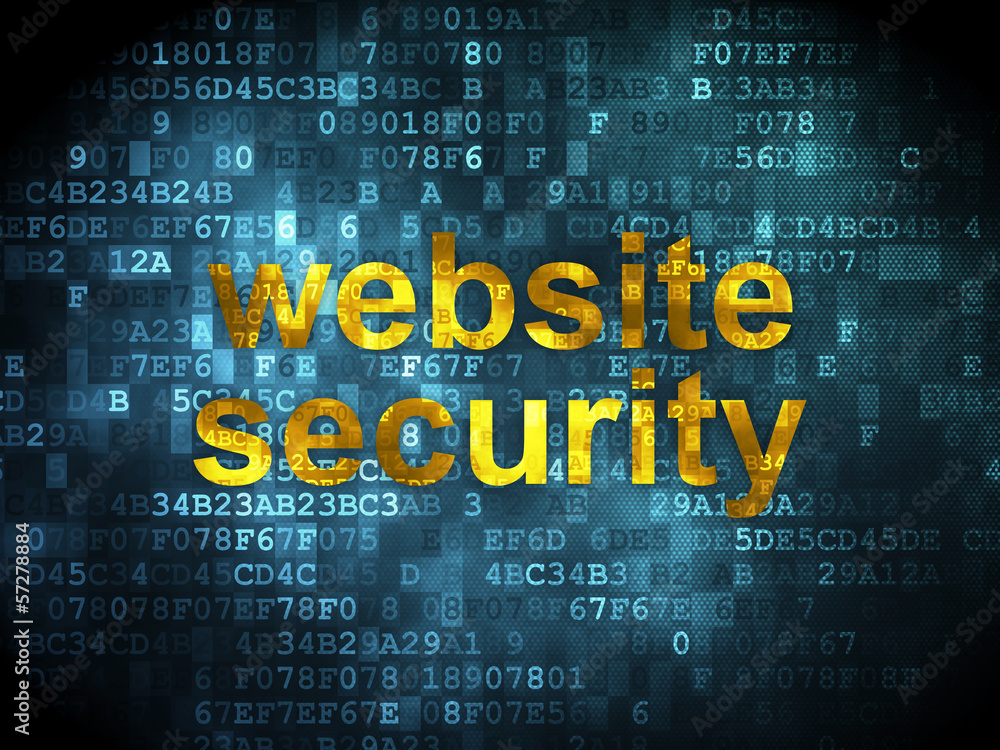 Obraz premium SEO web development concept: Website Security on digital backgro
