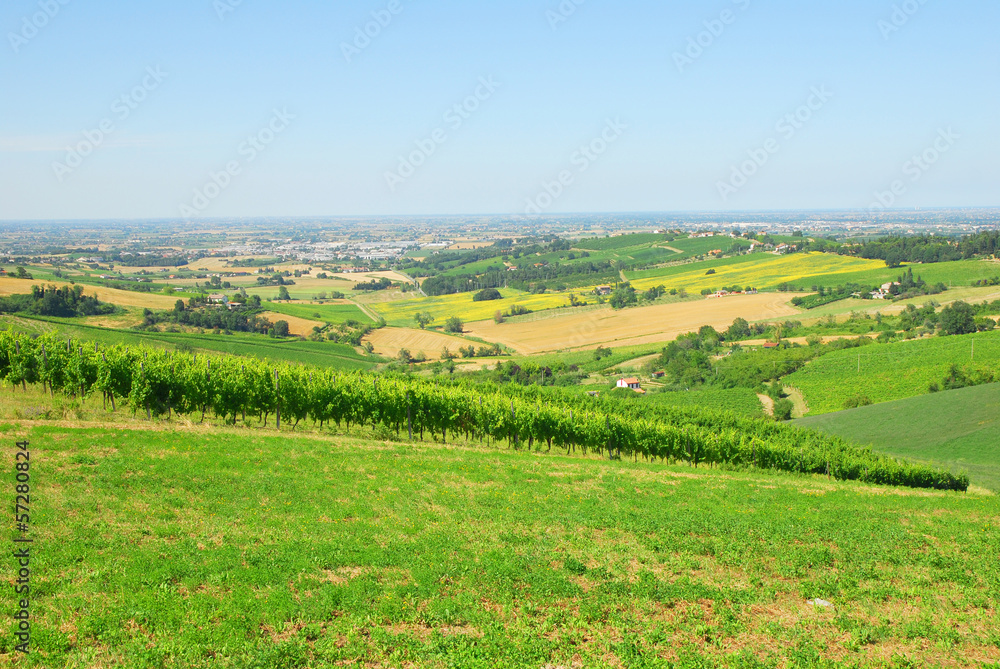 Italy, Romagna Apennines hills and vineyards
