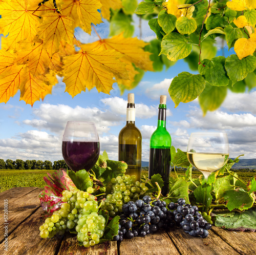 Pfälzer Weinprobe im Herbst