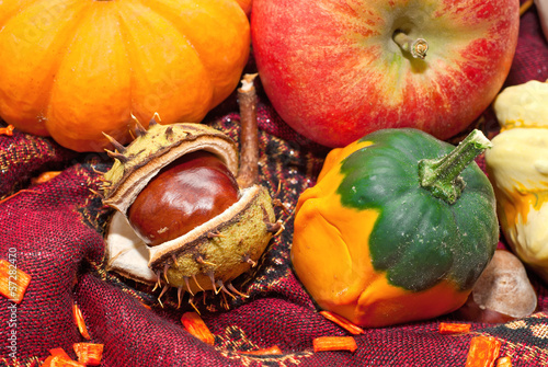 Herbst - Kastanie, Kürbis, Apfel und Co.