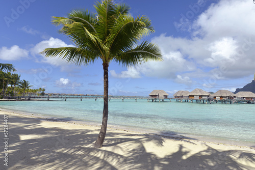 White Sand Beach in French Polynesia