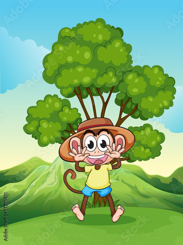 A playful monkey at the hilltop near the tree