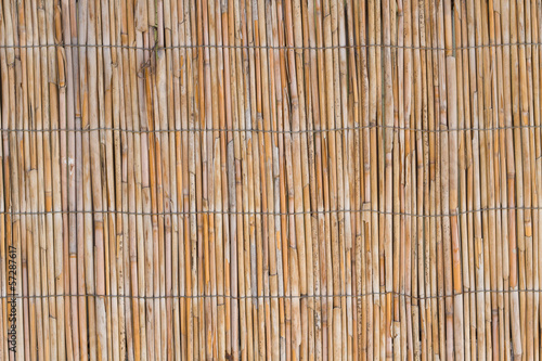 fine texture of the walls of reeds