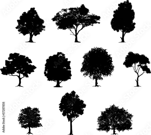 collection of tree silhouette