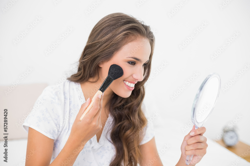 Smiling attractive brunette using a brush and a mirror Smiling attractive brunette using a brush and a mirror