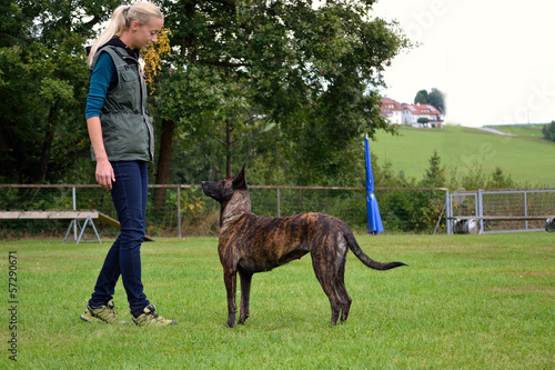 Hundeausbildnerin beim Training photo