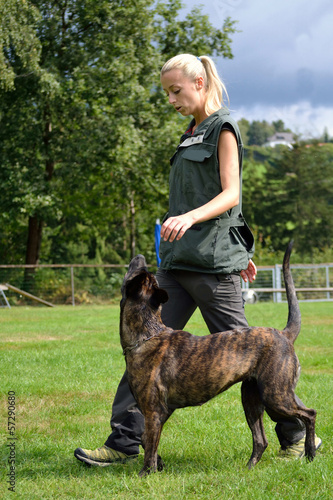 Hundetrainerin mit ihrem Hund photo