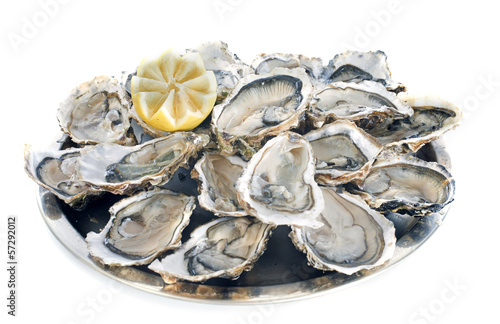 french oysters photo