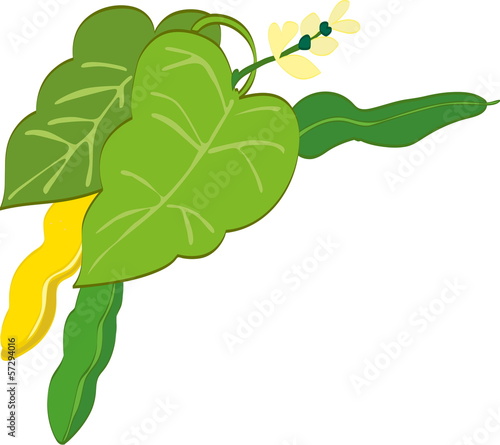 Peas