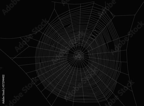 large isolated white spider web