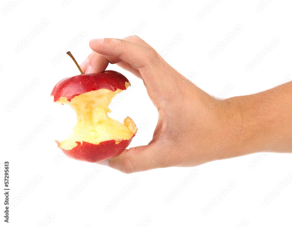Hand holds core of an apple. Hand holds core of an apple.