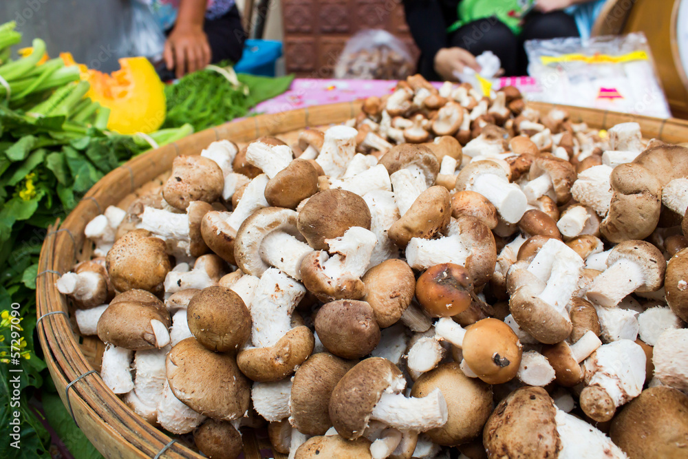 mushrooms on Market mushrooms on Market