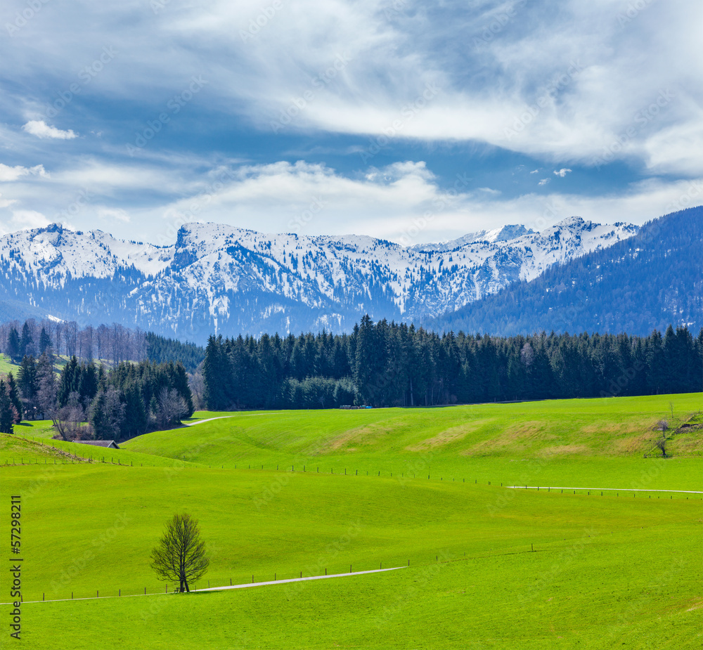 German idyllic pastoral countryside in spring with Alps in backg