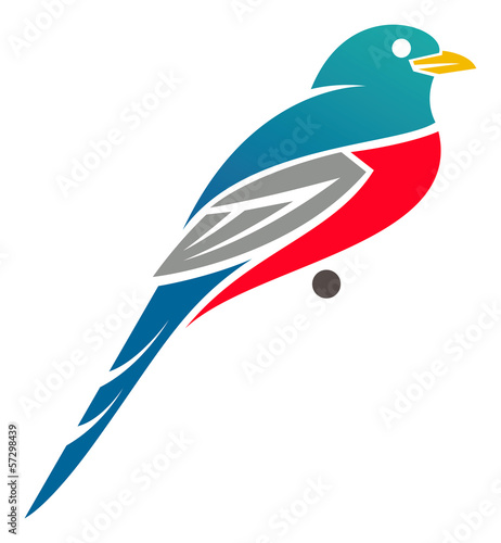 Narina Trogon