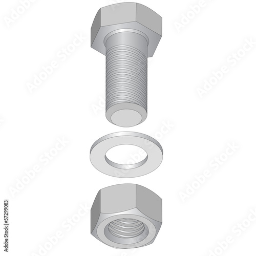 Stainless steel bolt and nut. Vector illustration.
