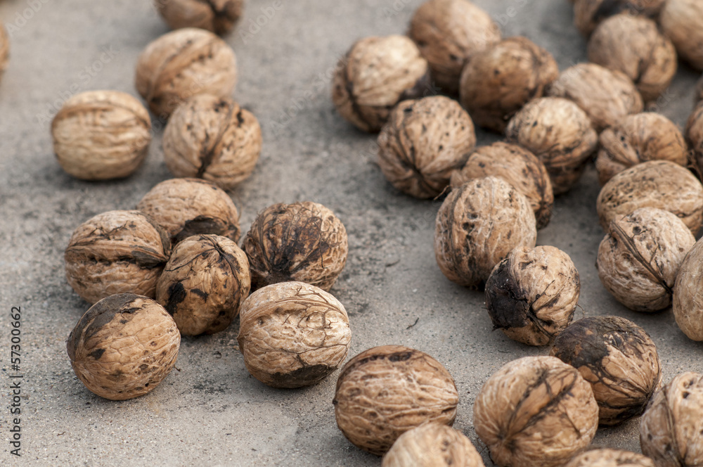 walnuts walnuts