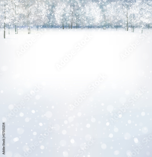 Vector of winter scene with forest background.