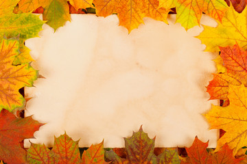 Autumn leaves as border