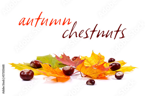 Autumn leaves and chestnuts