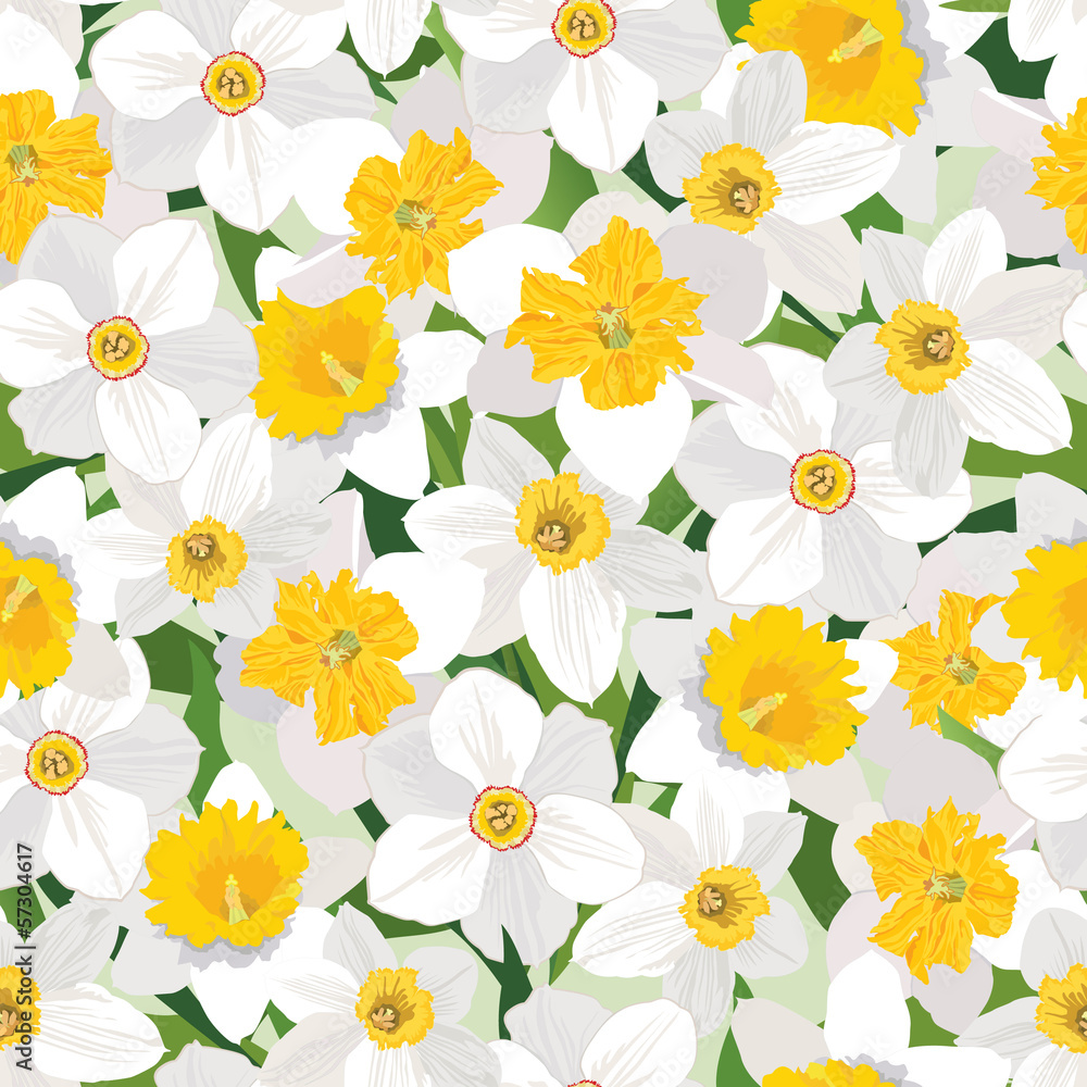 Flower Daffodil seamless background. Floral spring texture Flower Daffodil seamless background. Floral spring texture
