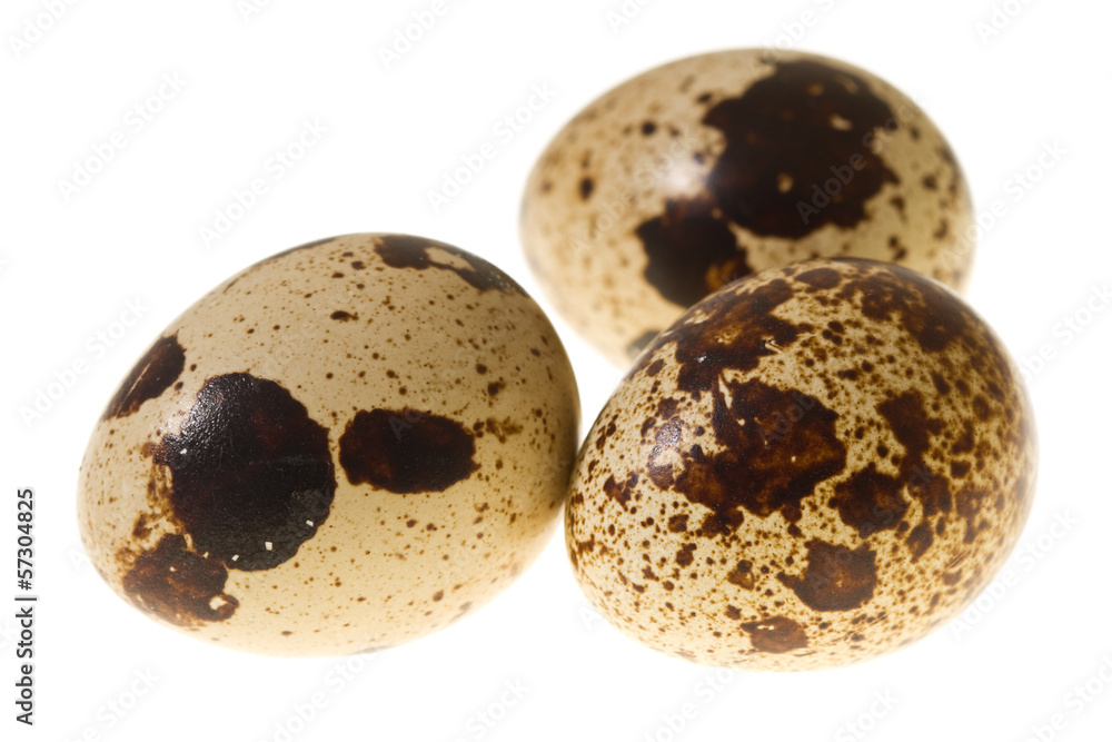 Obraz premium Quail eggs isolated