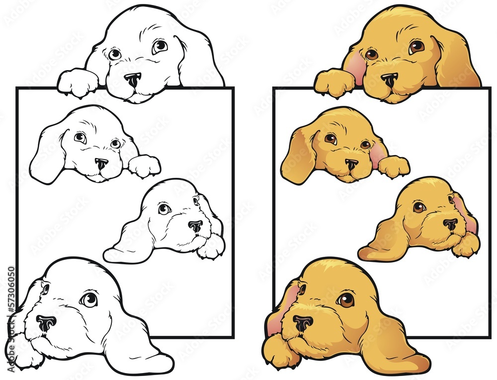 Golden Lab puppies on a border. Golden Lab puppies on a border.