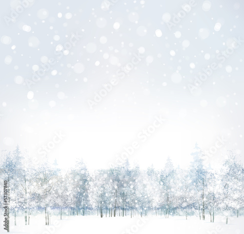 Vector of winter scene with forest background.