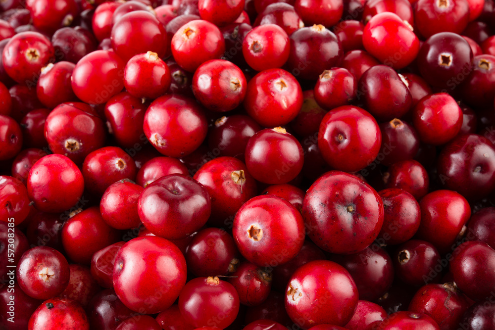 Red ripe cranberries background Red ripe cranberries background