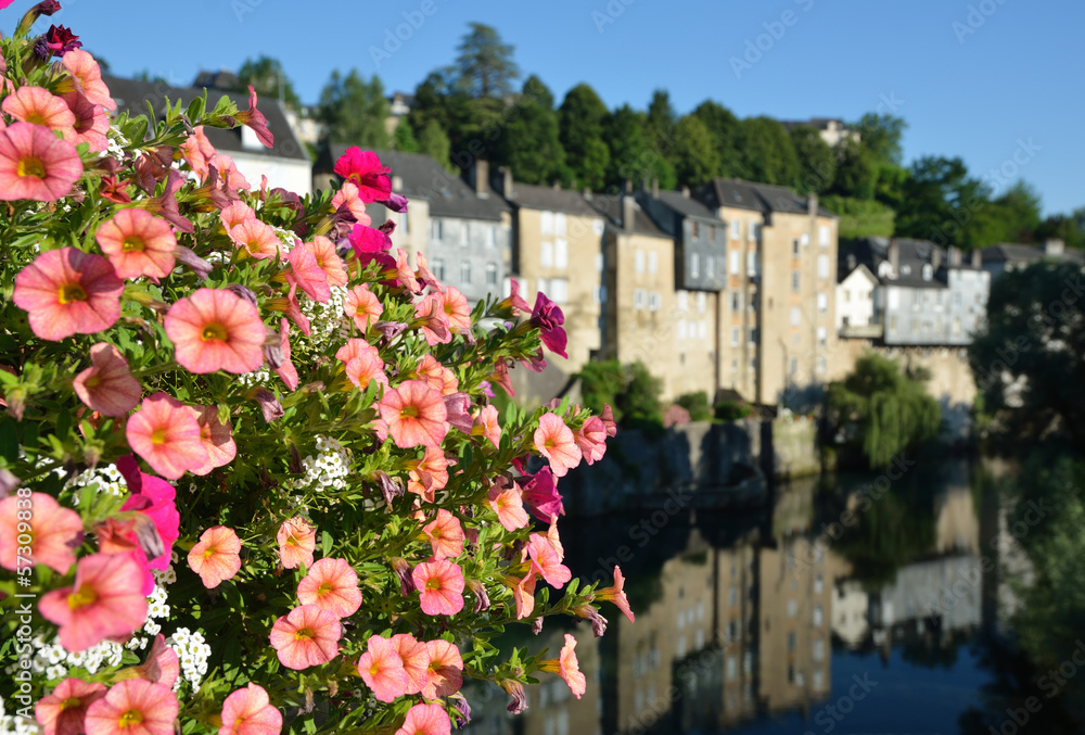 Summer view of the French town Oloron-Sainte-Maria
