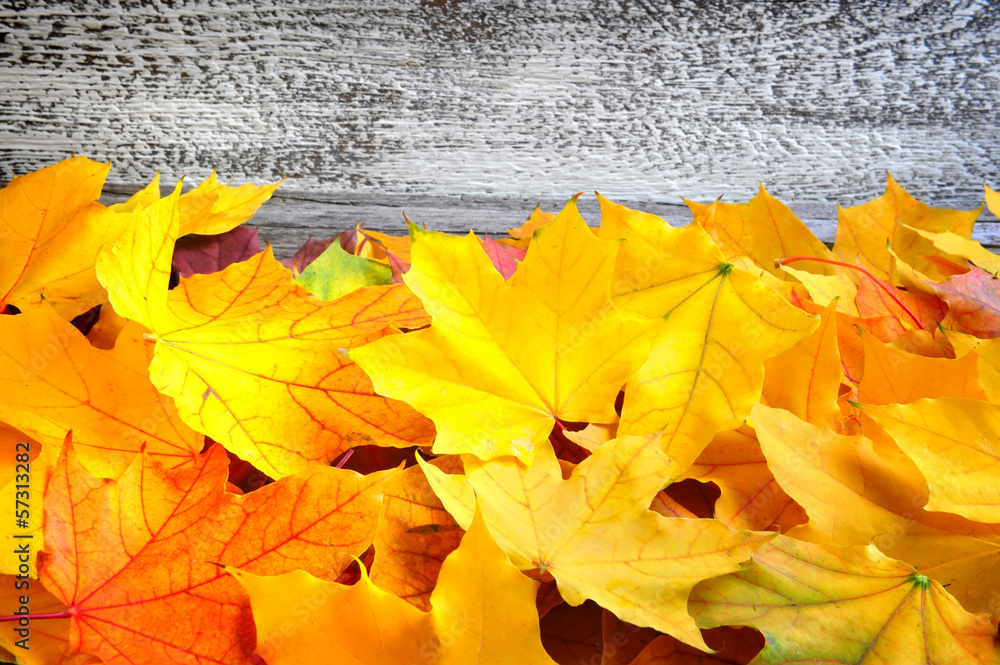 Autumn leaves over old wooden background. With copy space Autumn leaves over old wooden background. With copy space