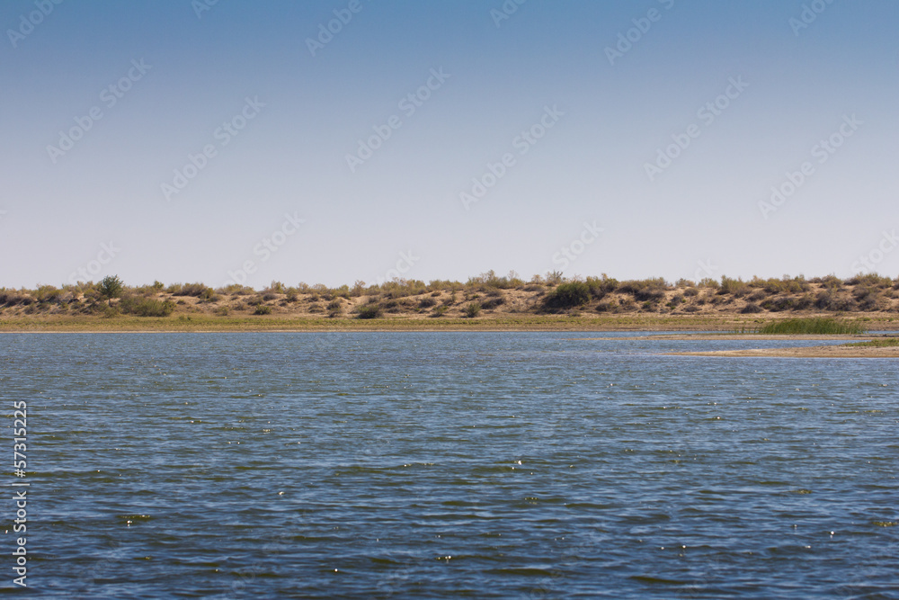 shore of the lake in the nature