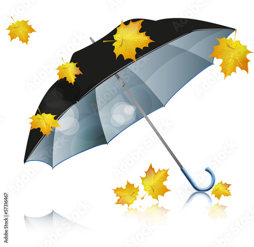 black umbrella with falling leaves