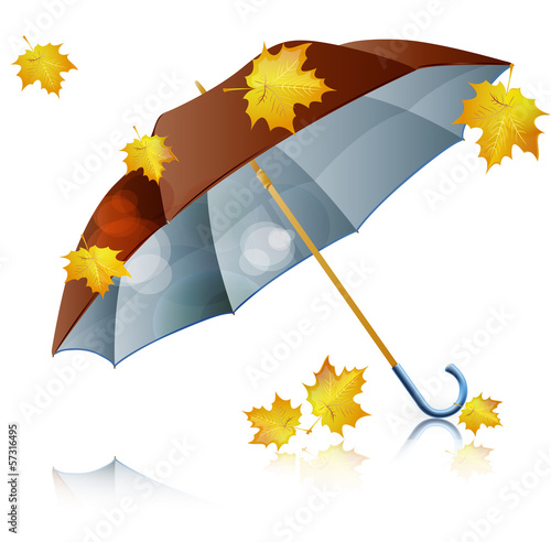 brown umbrella with falling leaves