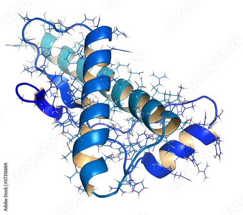 Human prion protein (hPrP), chemical structure. photo