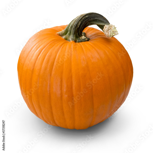 pumpkin over white background