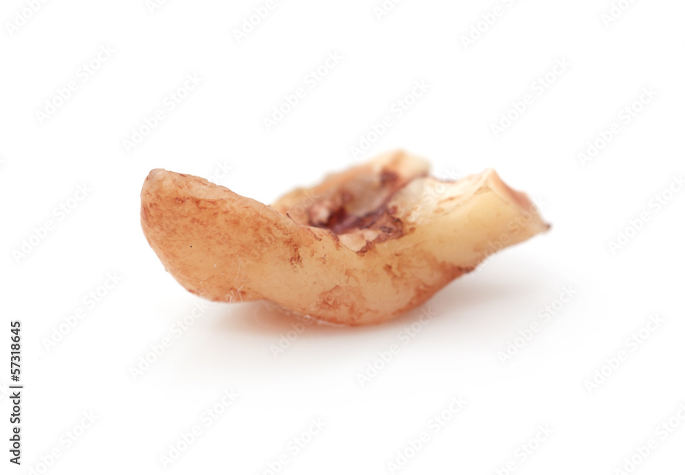 tooth decay on a white background. macro tooth decay on a white background. macro
