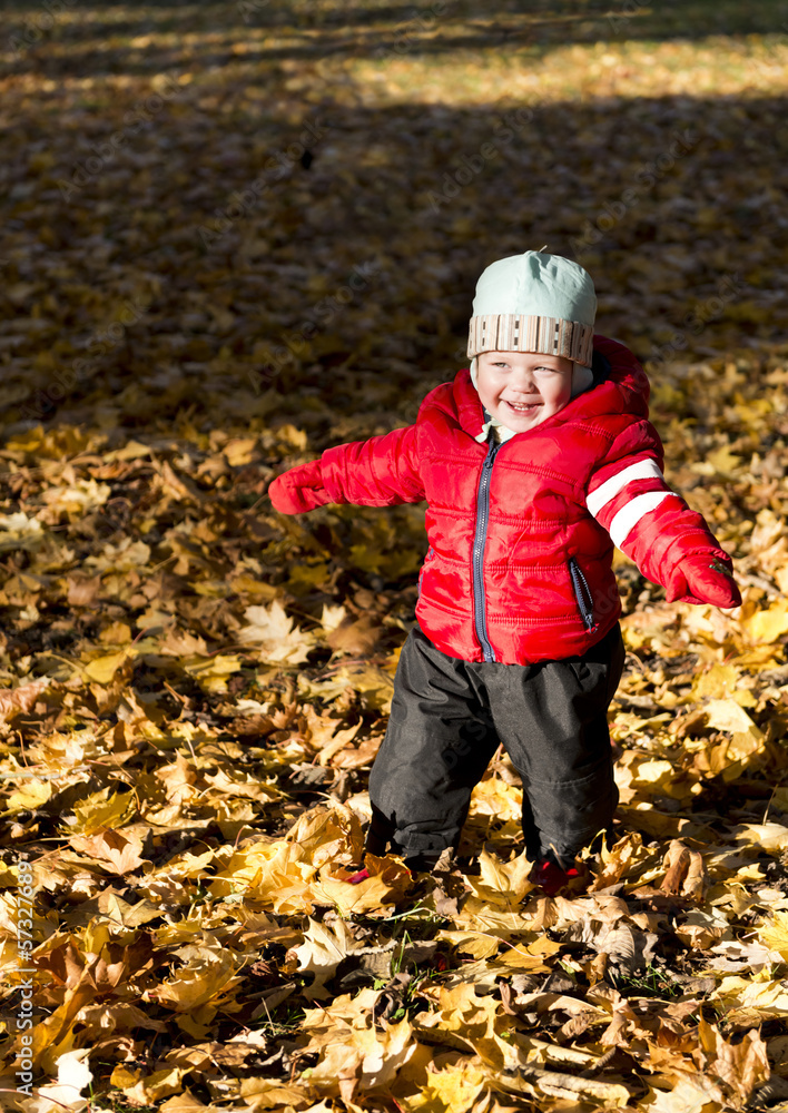 Little boy walking in the autumn park Little boy walking in the autumn park