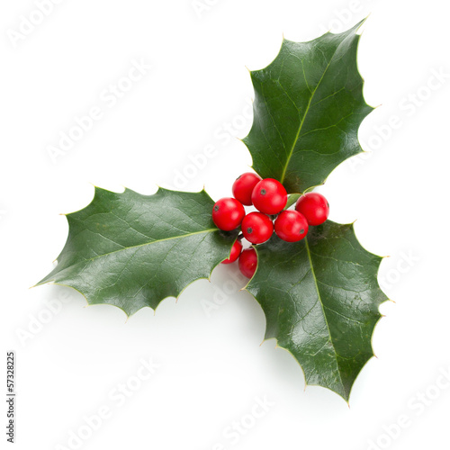 Fotografia Holly leaves and berries