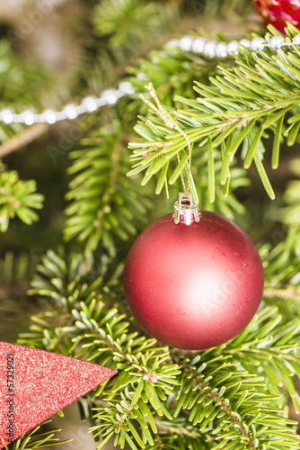 Bauble hanging in christmas tree