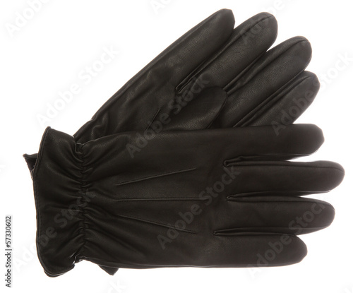 Formal Gloves