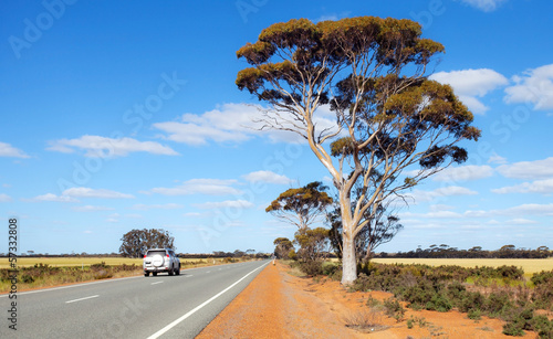 Road in west australian bush
