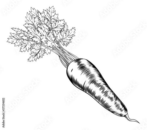 Vintage retro woodcut carrot