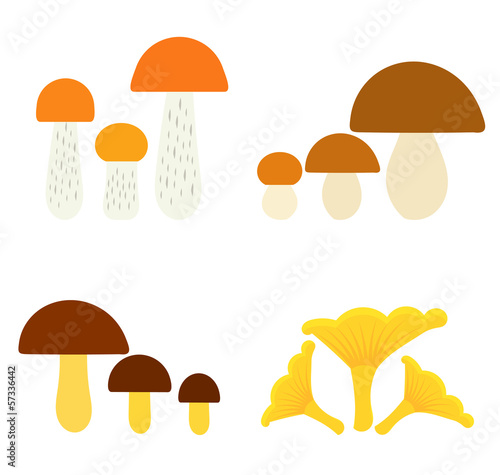 Mushrooms collection