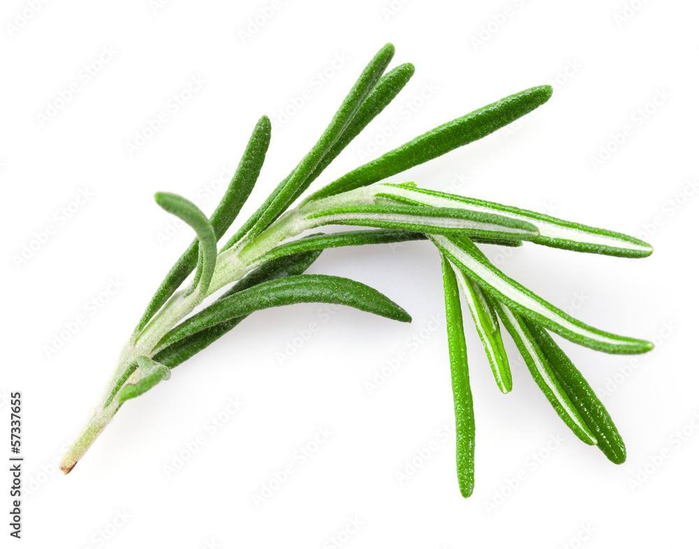 Rosemary Rosemary